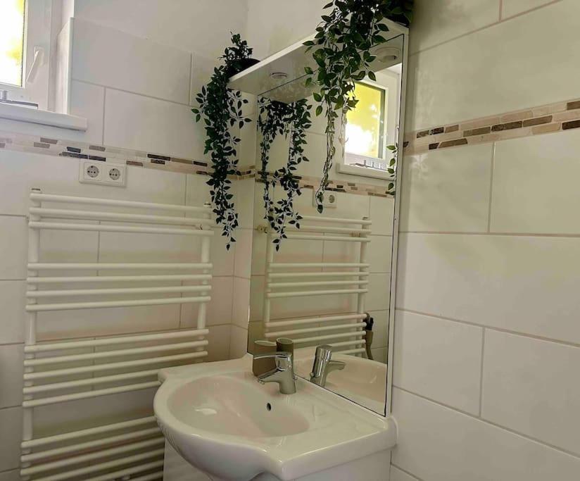 Private Balcony At Top Location Next To Subway * Wien
